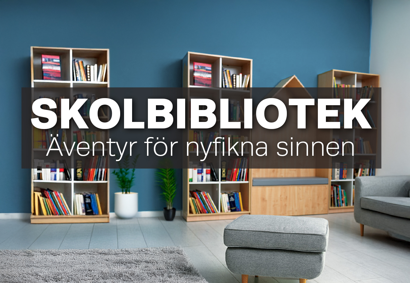 SKOLBIBLIOTEK BIG 2025