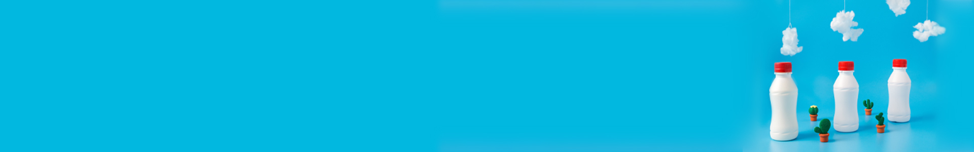 1920X300 Plast1