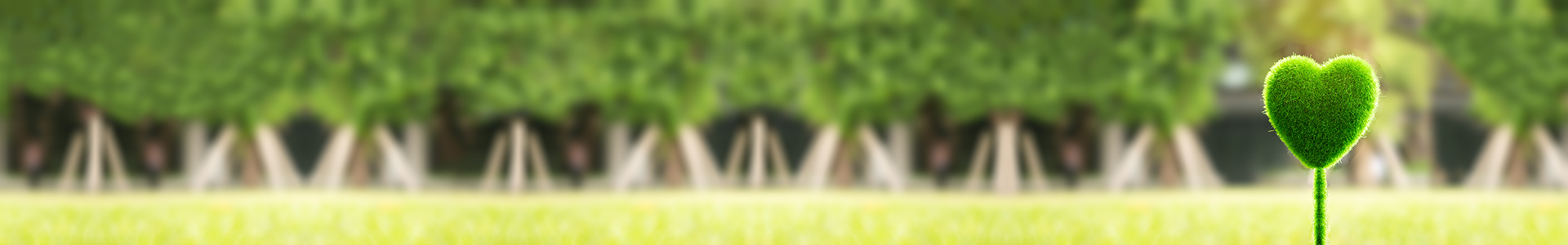 1920X300 Giftfri4